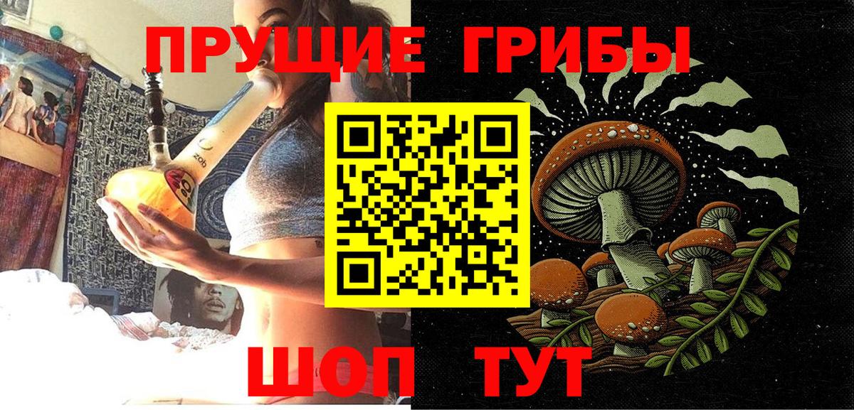 Псилоцибиновые грибы прущие грибы Дубна