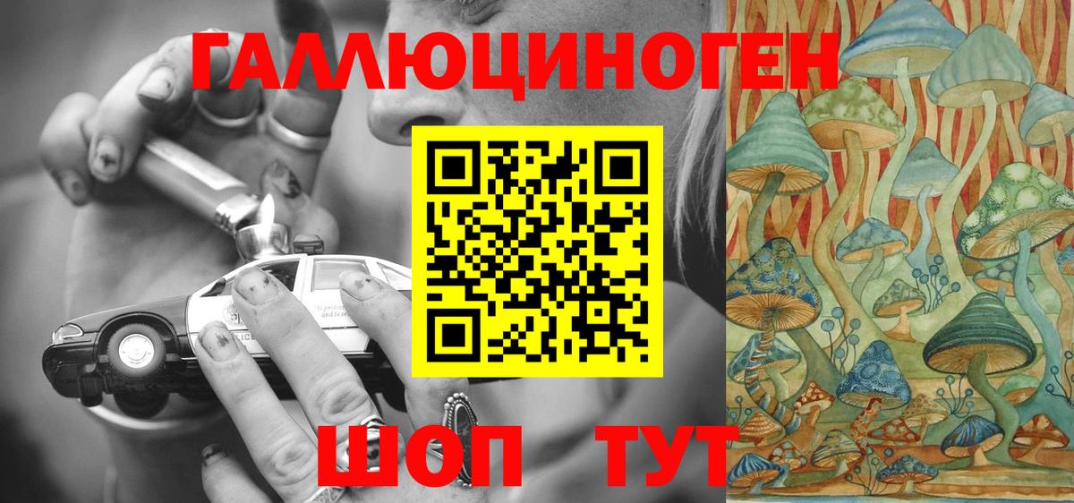 Дубна  Галлюциногенные грибы GOLDEN TEACHER  Галлюциногенные грибы Psilocybine cubensis  Вход с VPN 